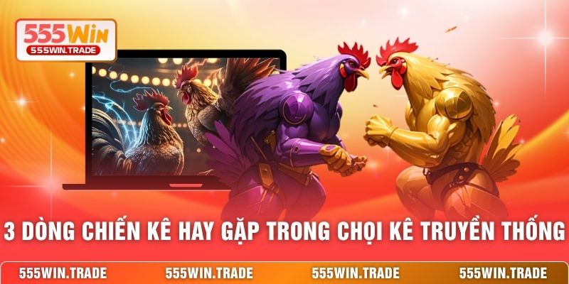 3 dòng chiến kê hay gặp trong chọi kê truyền thống