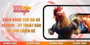 Cách Băng Cựa Gà Đá