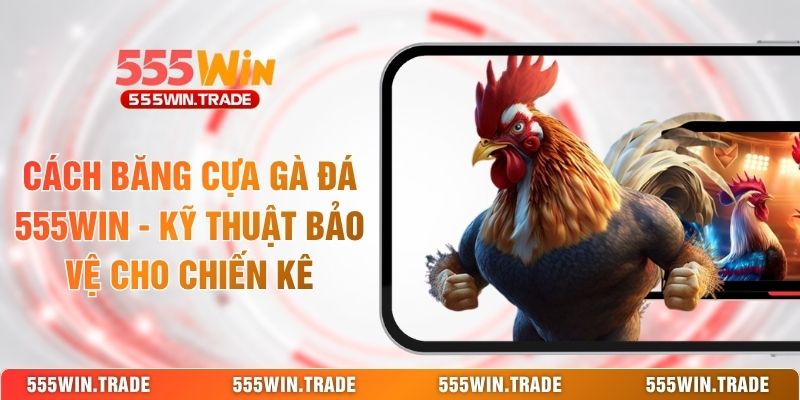 Cách Băng Cựa Gà Đá