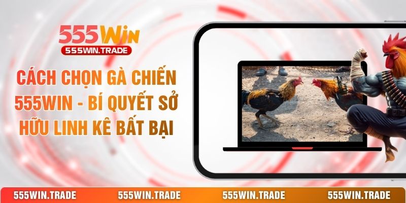 Cách Chọn Gà Chiến