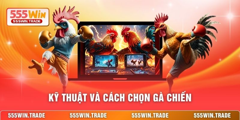Kỹ thuật và cách chọn gà chiến