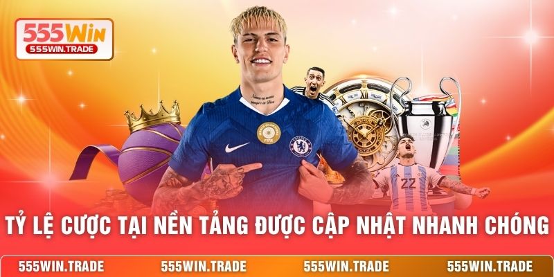 Tỷ lệ cược tại nền tảng được cập nhật nhanh chóng 